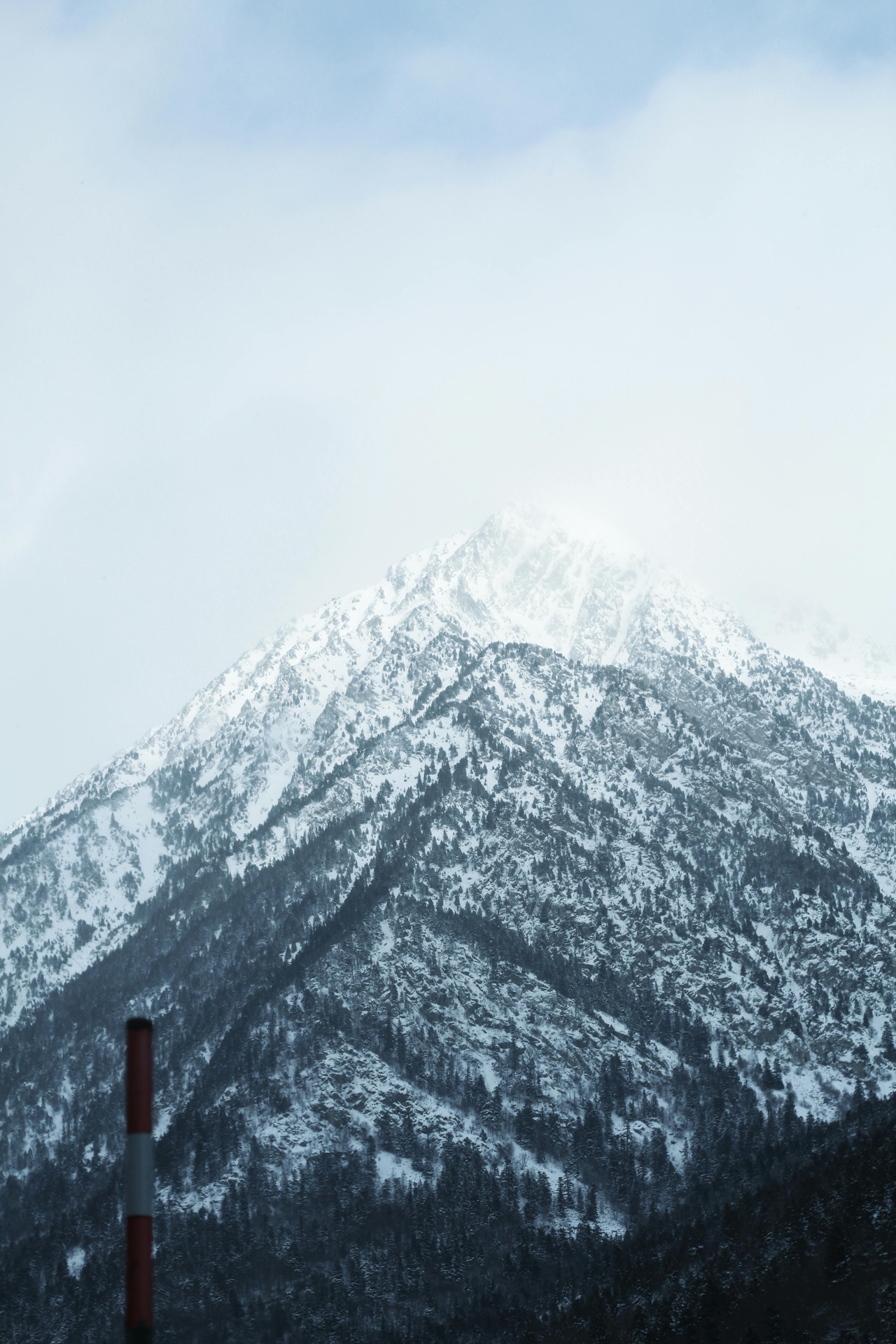 Pico nevado